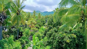 Un jardin tropical luxuriant, avec une végétation dense et des palmiers, qui s’étend jusqu’à un paysage montagneux en arrière-plan.