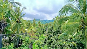 Vue aérienne