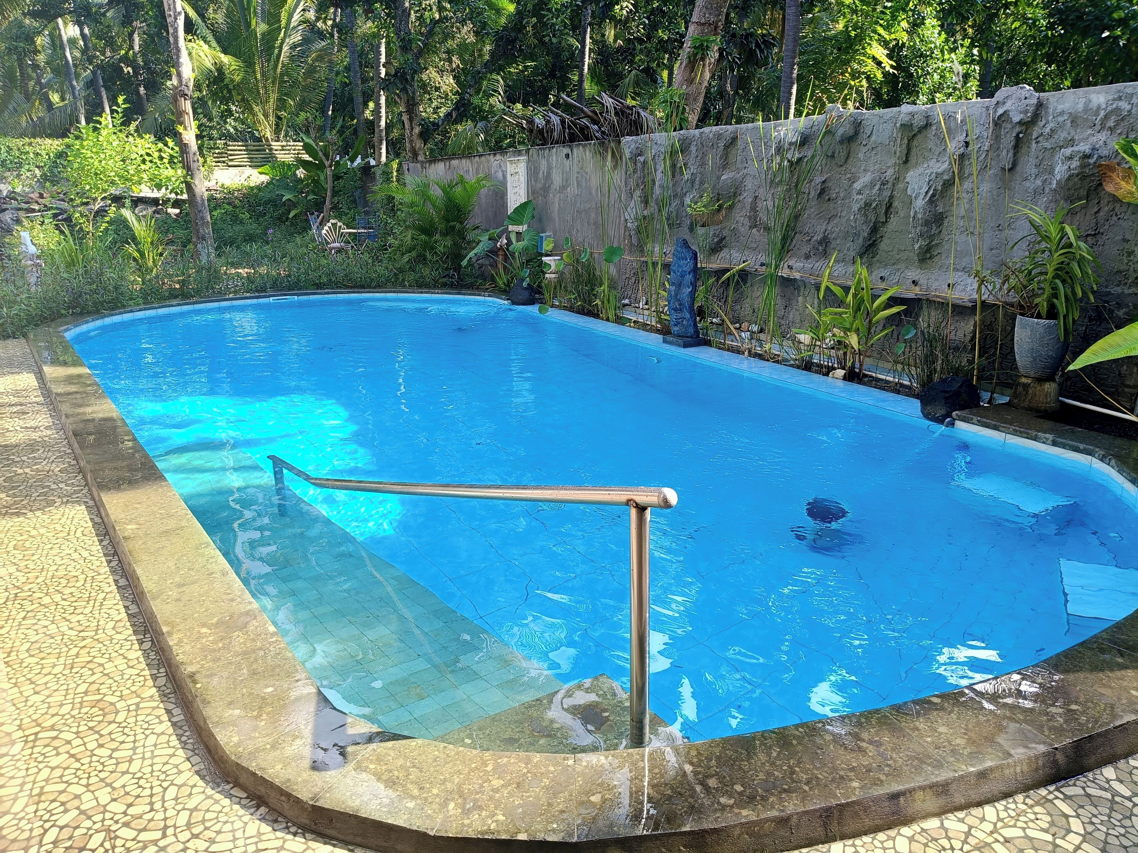 A swimming pool with a tiled edge, surrounded by greenery and a stone wall.
