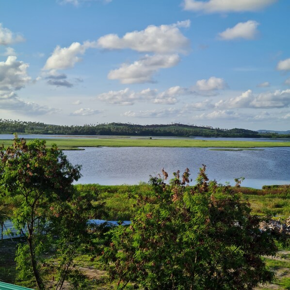 A lakeside view with a distant hill, trees, and a clear sky.