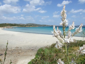 In Strandnähe