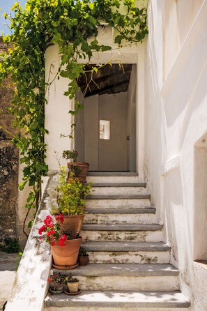 Detalle exterior