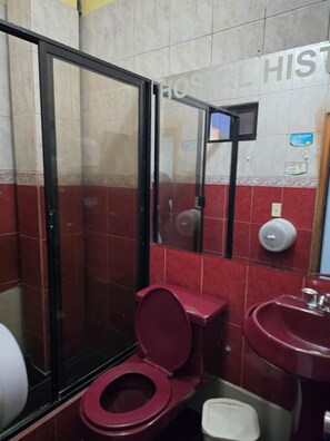 Shower, towels, soap, shampoo