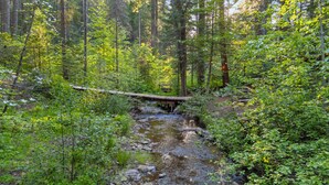 Ein bewaldetes Gebiet mit einer Holzbrücke über einem Bach.