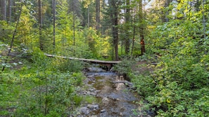 A forested area with a wooden bridge over a stream.