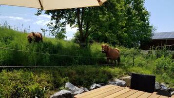 Speisen im Freien