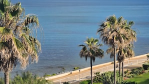Une vue sur la côte, avec des palmiers et une plage.