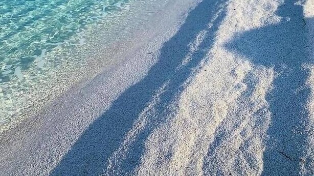 Ein Strand mit klarem türkisblauem Wasser und einem sandigen Ufer.