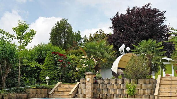 A swimming pool with a stone wall, surrounded by lush greenery and a variety of plants.