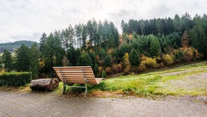 Un banc dans un parc, avec une colline boisée en arrière-plan.