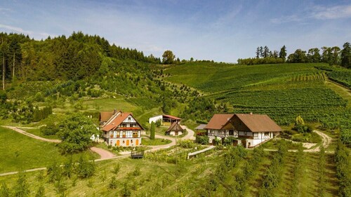 Apartment '3, 62qm' with Private Terrace and Wi-Fi