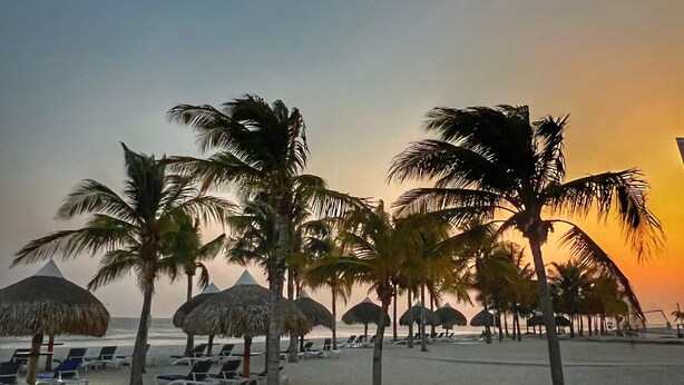 A beach with palm trees, sun loungers, and thatched umbrellas. - Beachfront Condo | Caracol Beach, Punta Chame | Pools & Ocean Views (Chame)