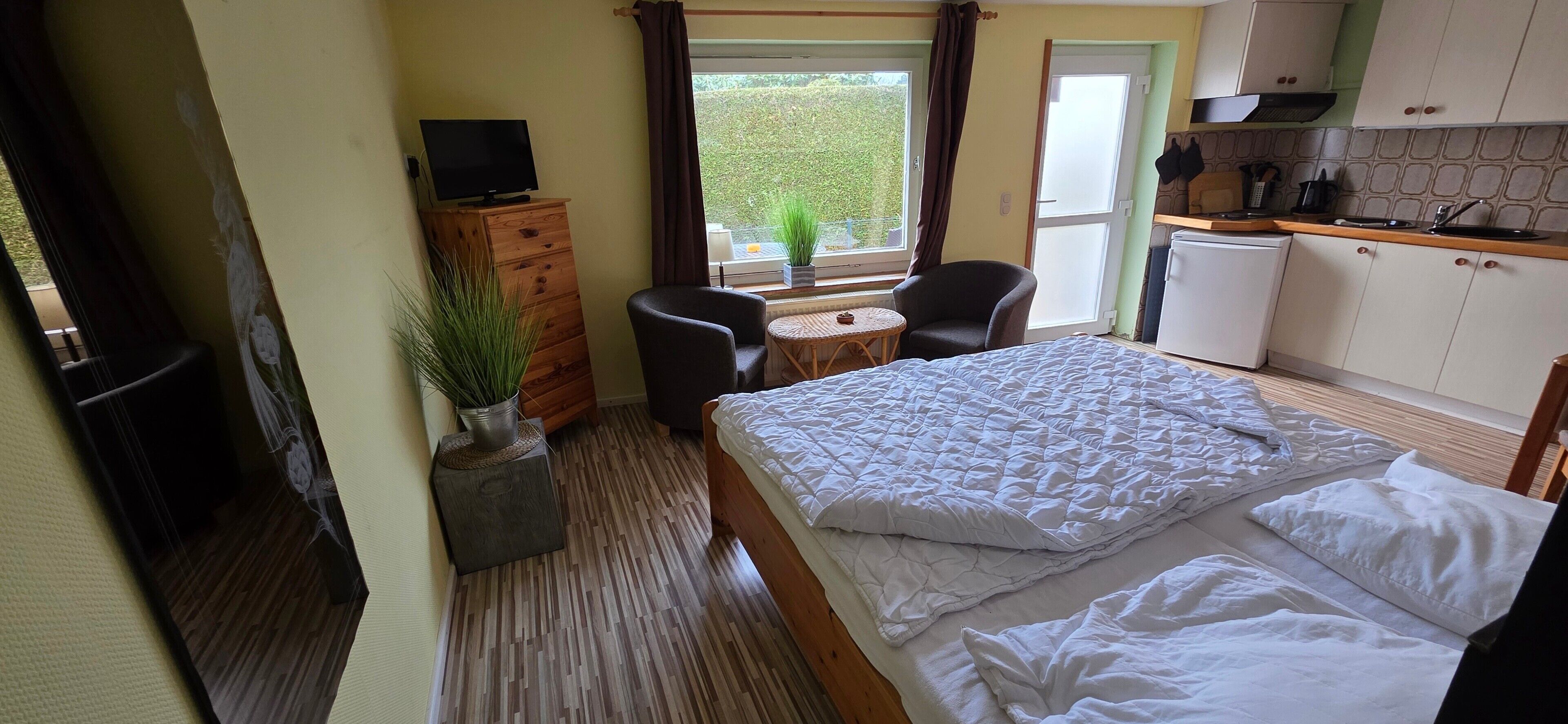 A hotel room with a bed, a desk, a chair, a TV, a potted plant, and a view of the outdoors.