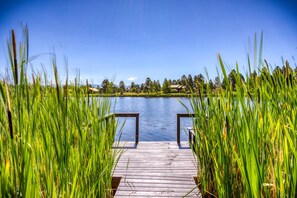 Unclassified image, 4 of 50, button