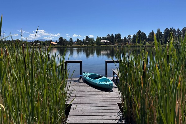 Unclassified image, 1 of 50, button