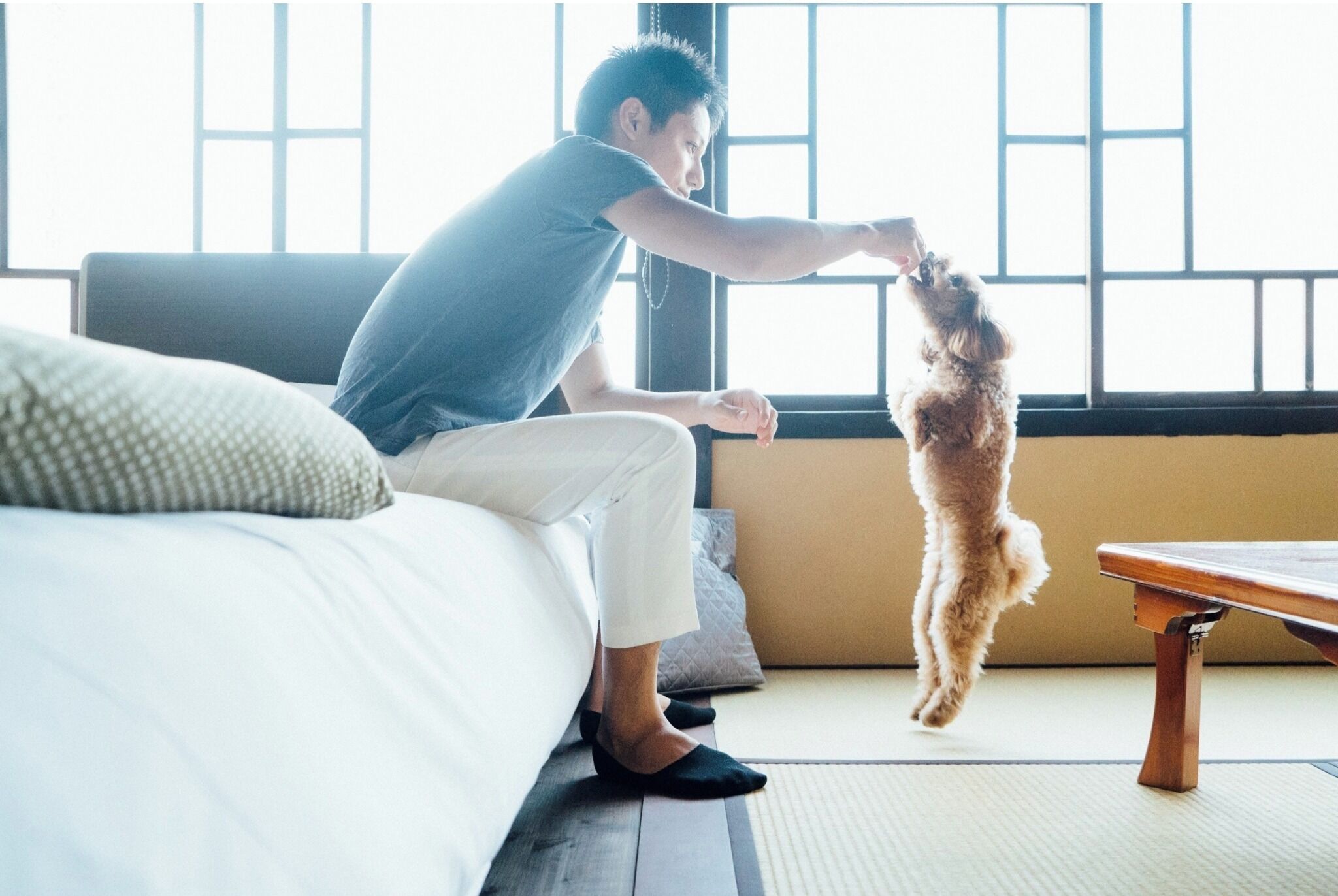 2 habitaciones, escritorio, wifi gratis y ropa de cama 