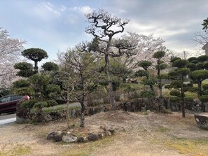 Overnattingsstedets uteområder