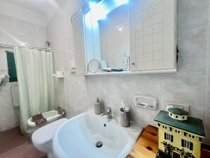 Shower, hair dryer