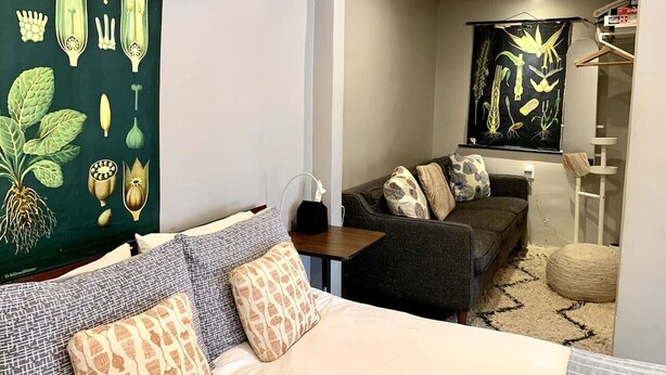 A hotel room with a bed, a sofa, a small table, and a wall with botanical illustrations.