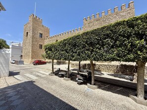 A stone castle with a tower and a hedge in front.
