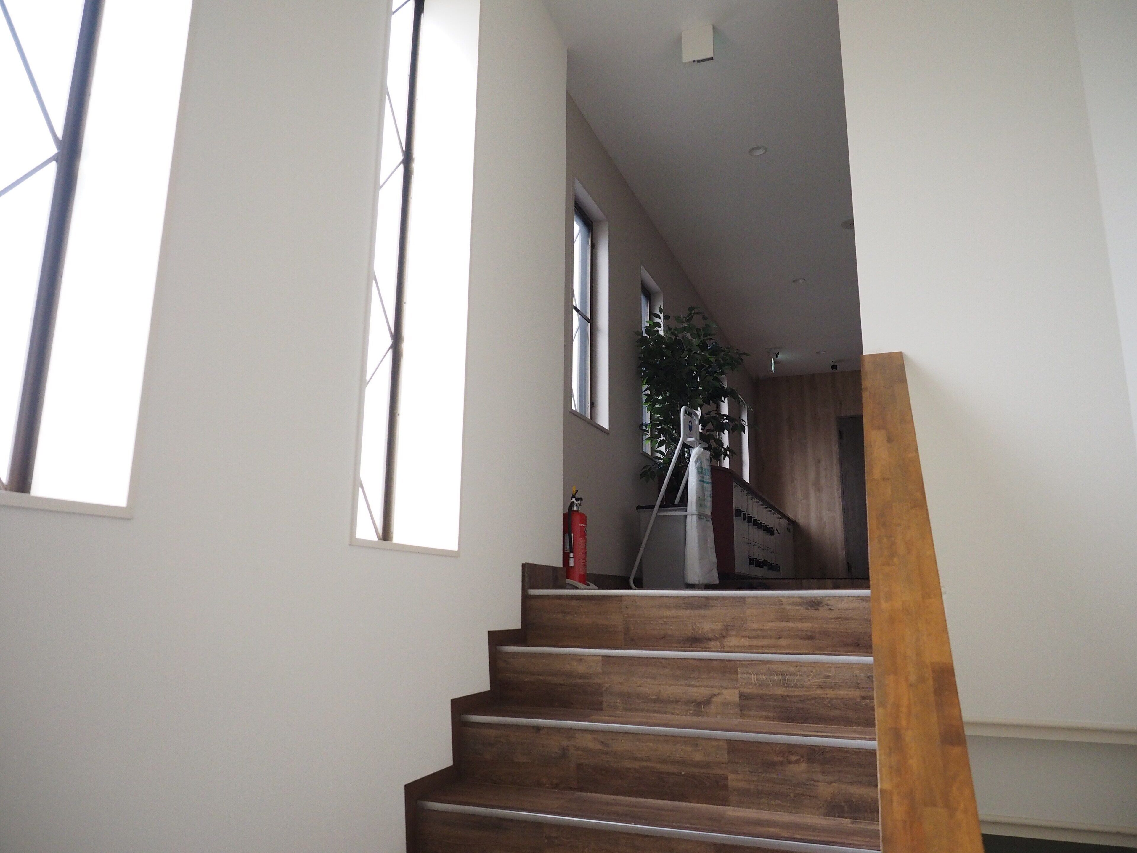 منطقة الاستقبال