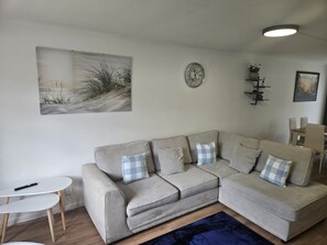 Fernseher, Arbeitsbereiche