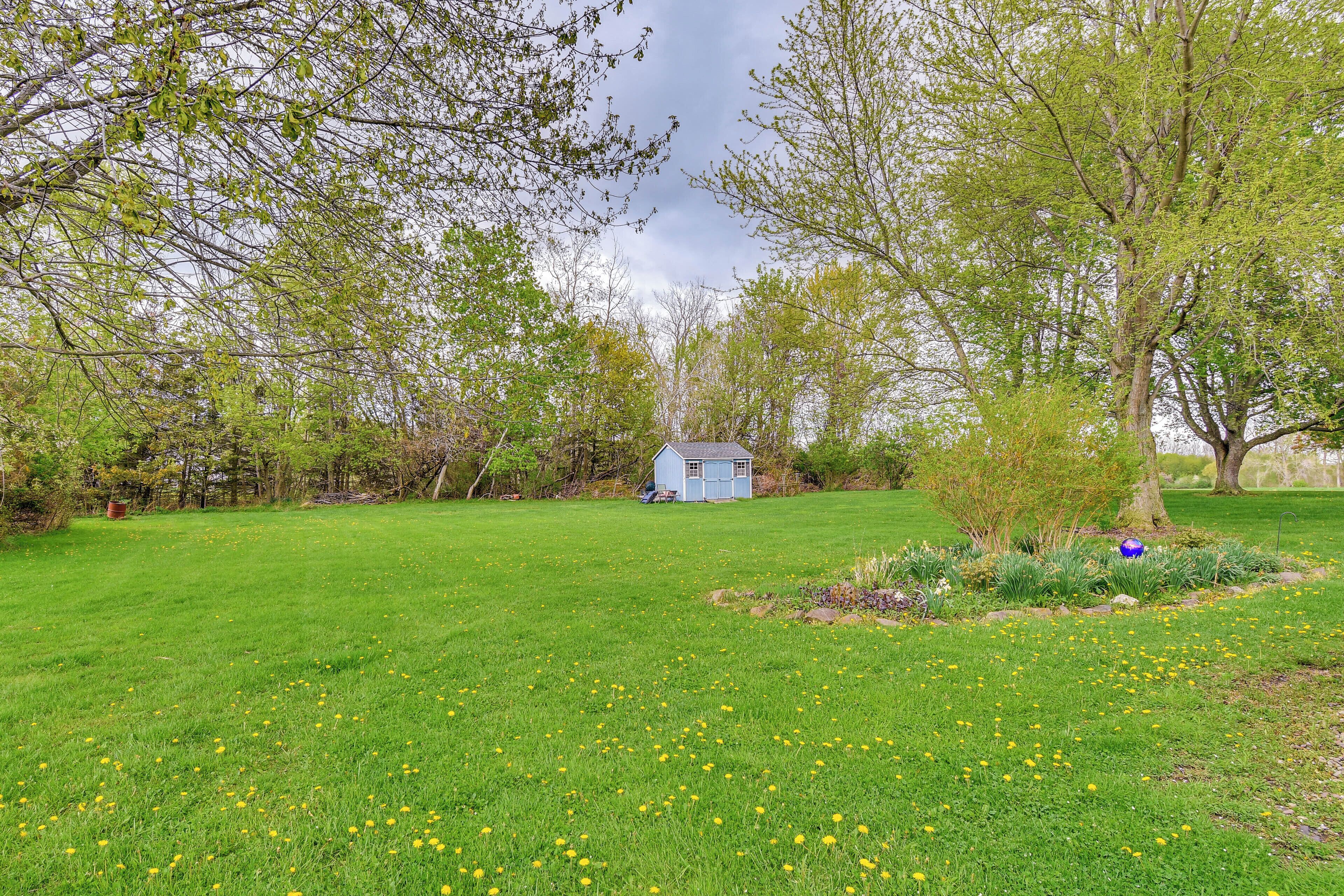 A grassy field with a small blue shed and trees in the background.