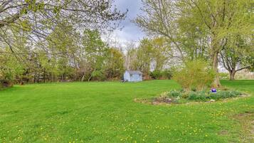 A grassy field with a small blue shed and trees in the background.