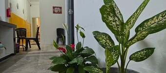 Nice cosy stay in centre Georgetown