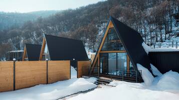 Set against a serene forested hill, this building offers a striking contrast with its unique triangular shape and glass facade.