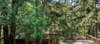 Serene and Private Retreat, Huge Deck Nestled in the Trees, Close to UofO Campus, Football, and More