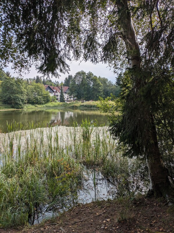 Boendeområde