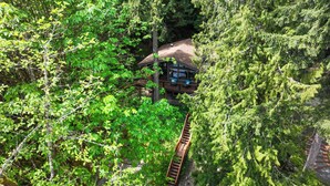 Eine Hütte, eingebettet in dichten Wald, mit einer Holzterrasse und einer sichtbaren Treppe zum Eingang.