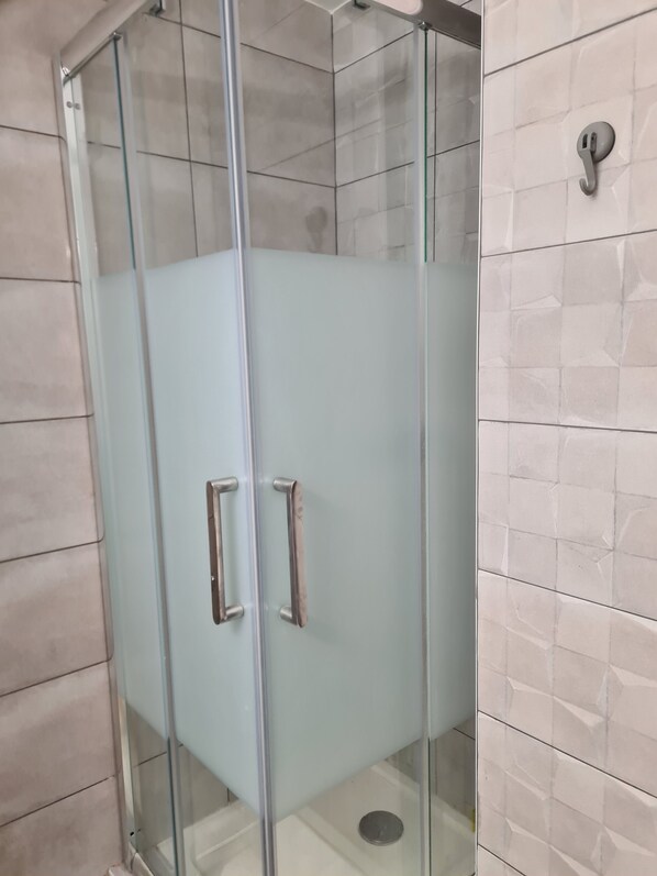 Shower, hair dryer, soap, toilet paper