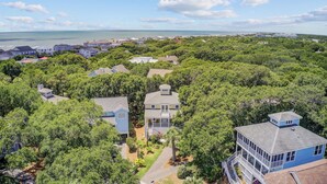Vista aérea de una zona residencial con casas rodeadas de abundante vegetación, cielo despejado y una lejana vista de la costa.