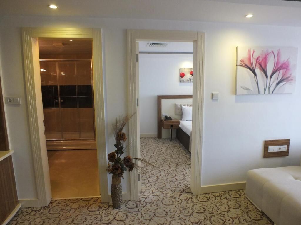 Une chambre d’hôtel avec une moquette à motifs, un lit avec une table de chevet, une œuvre d’art accrochée au mur, et une salle de bain avec une douche et des toilettes.