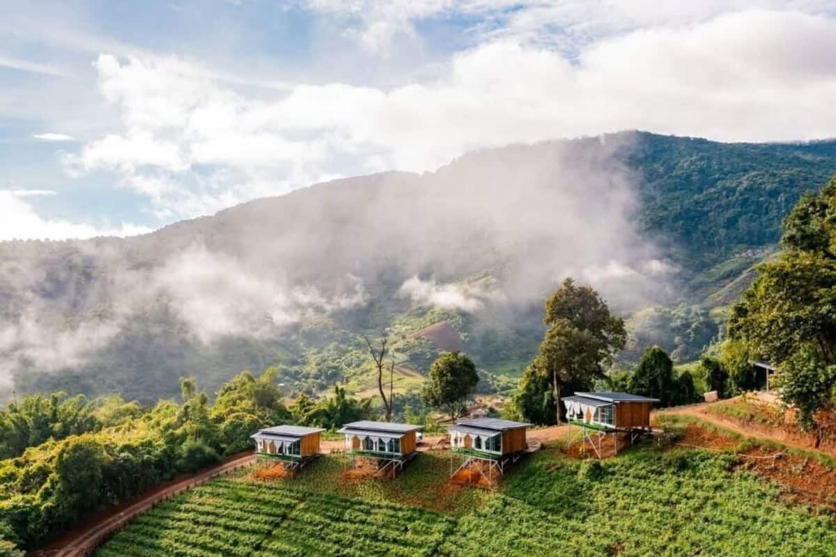 Habitación estándar, vista a la montaña | Vista desde la habitación