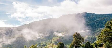 Rom – standard, fjellutsikt | Utsikt fra rommet