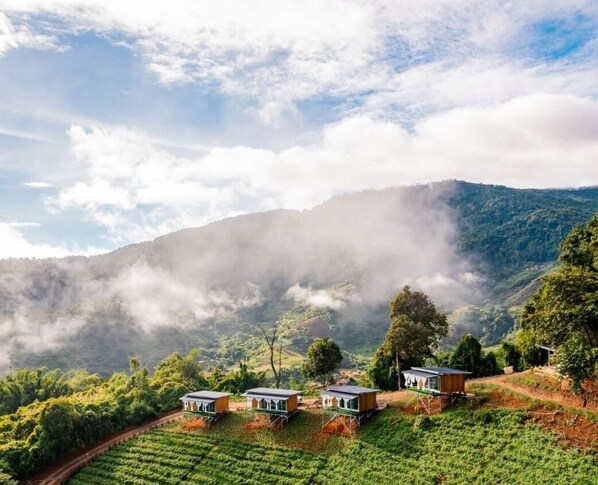 إطلالة الغرفة