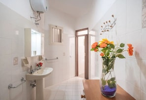 Douche, sèche-cheveux, bidet