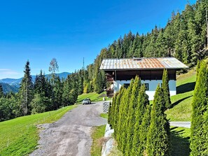 Un chalet de montagne avec une allée en gravier, entouré de conifères et surplombant un ciel bleu azur.