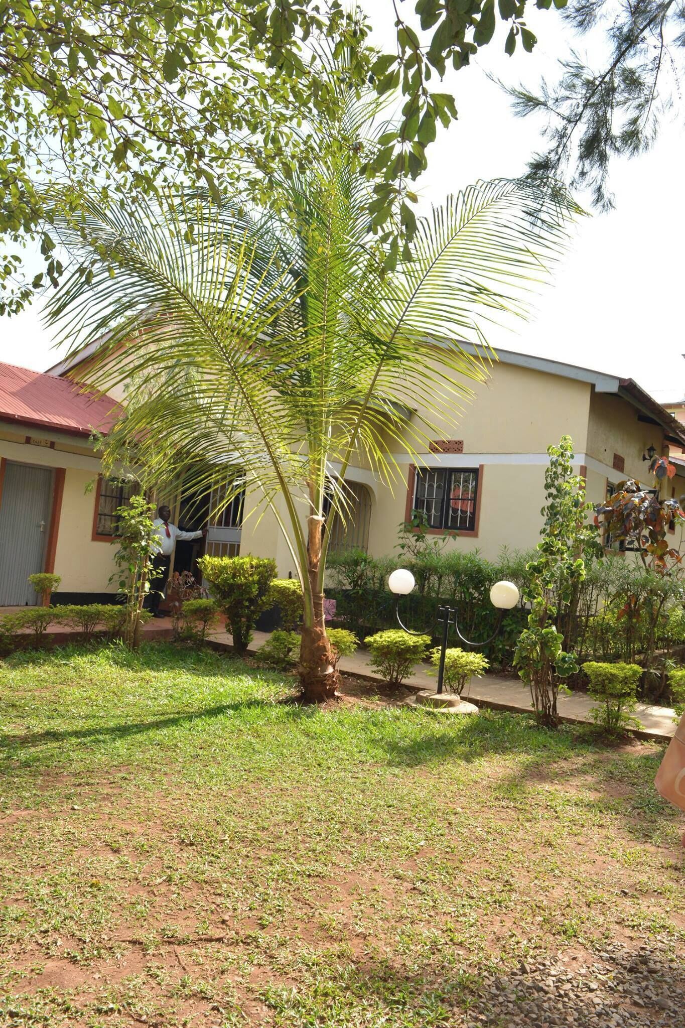 A house with a well-maintained garden, including a palm tree and various shrubs.