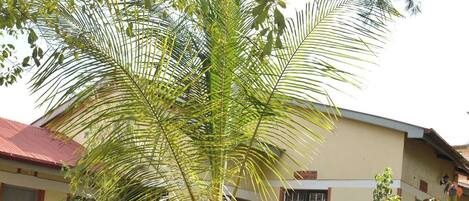 A house with a well-maintained garden, including a palm tree and various shrubs.