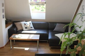 TV, lareira, DVD player, aparelho de som