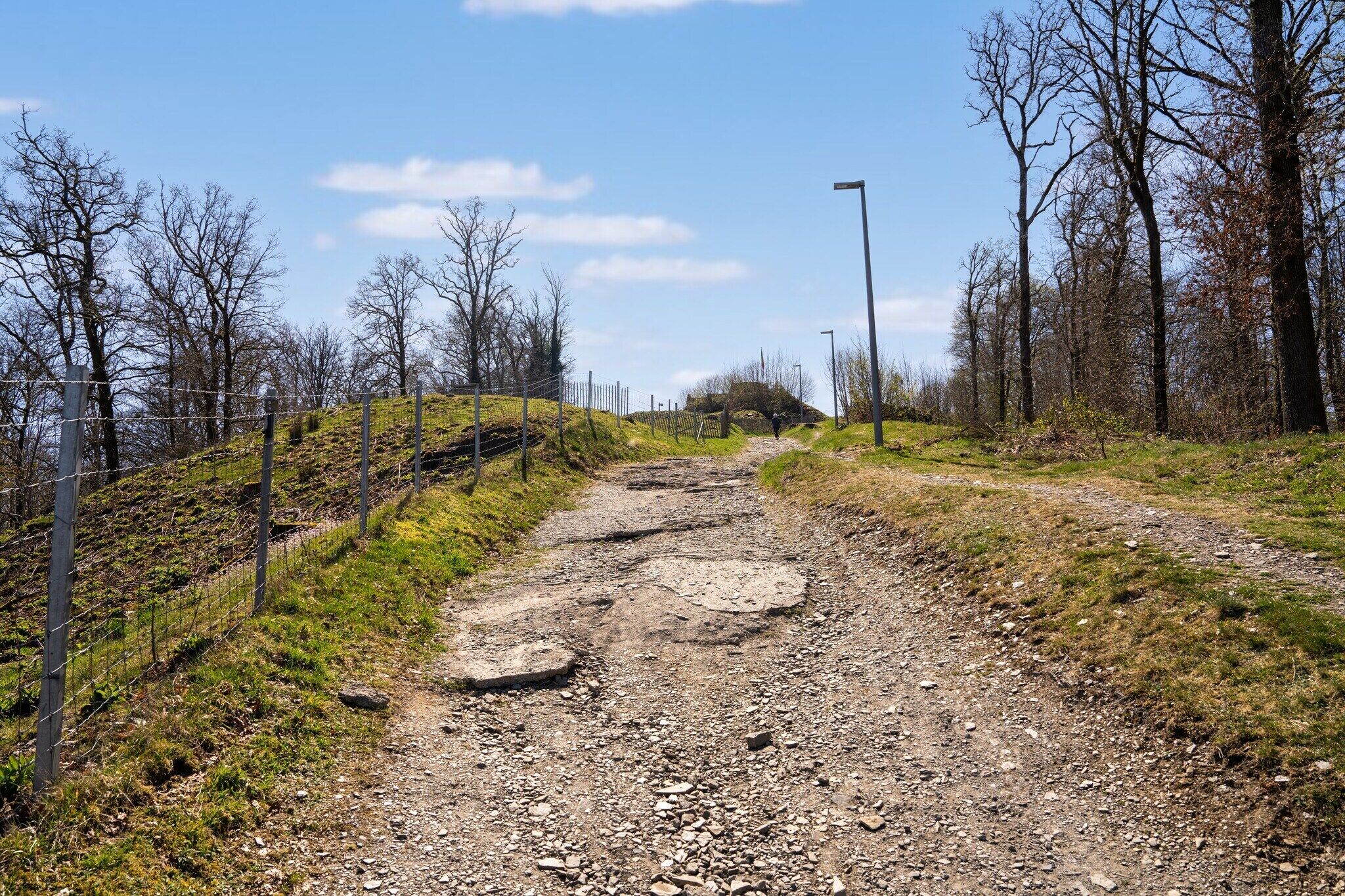 A gravel path with a fence on one side and trees on the other.
