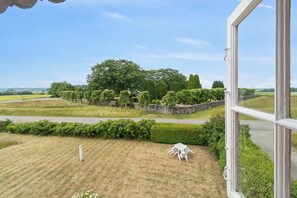 Une vue depuis une fenêtre donnant sur un jardin bien entretenu, avec un grand arbre, des haies soigneusement taillées et un chemin pavé.
