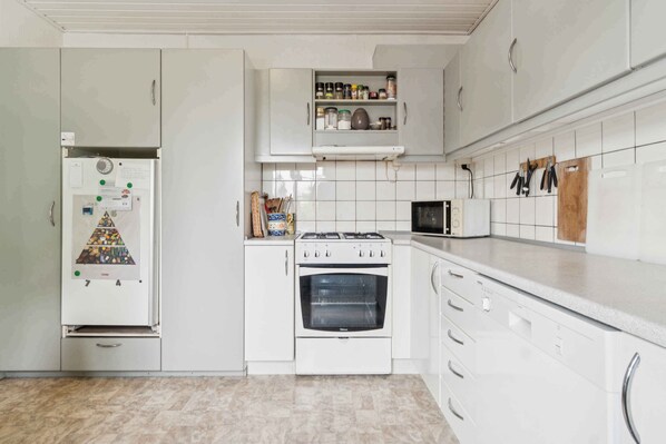 Fridge, oven, stovetop, dishwasher