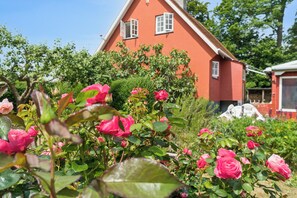 Une maison rouge avec un jardin rempli de roses roses.
