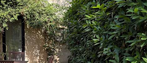 Dos sillones de madera con cojines blancos en un jardín con pared de piedra y follaje denso.