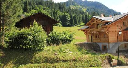 Holiday home in Chatel near ski area